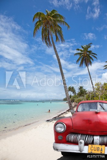 Bild på voiture cubaine sous les cocotiers